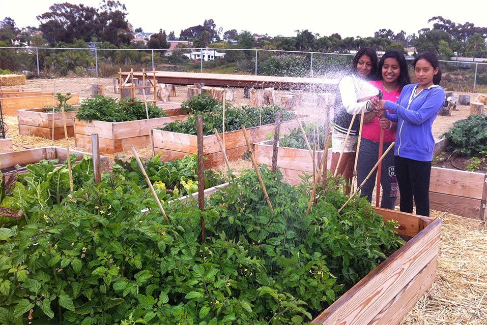 Grants - San Diego Ag in the Classroom